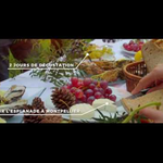 Embedded thumbnail for Fête des vignes 2016
